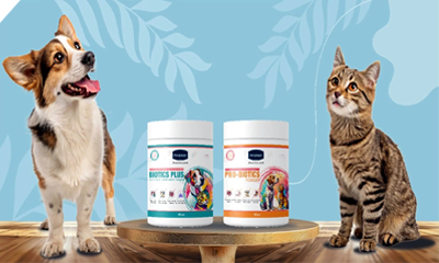 Pet Supplements